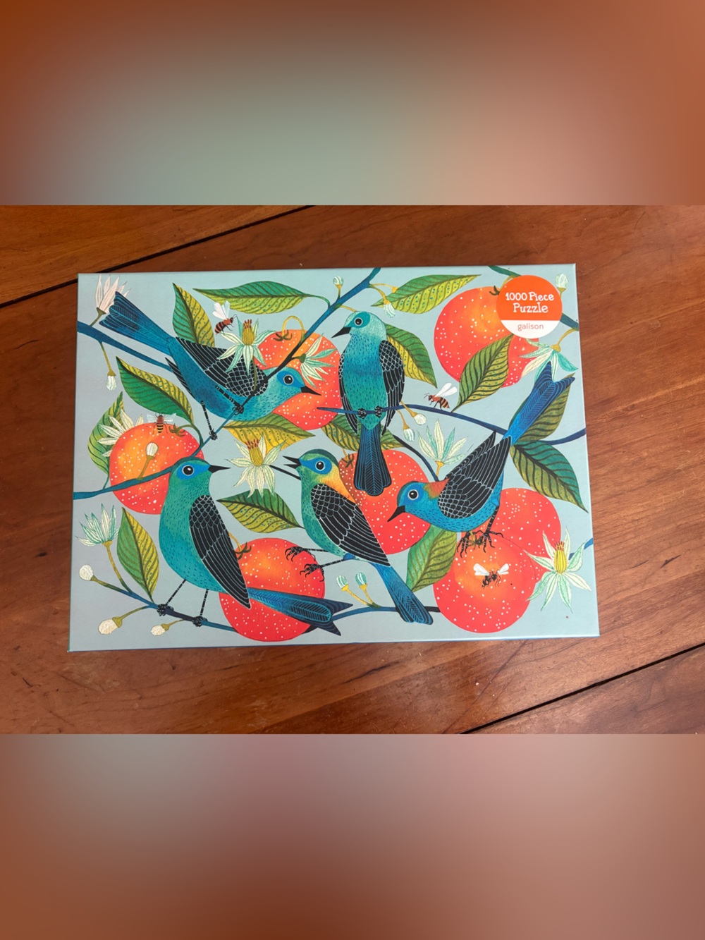 Blue Bird Puzzle Wall Art - Birds & Oranges Design 1000 pieces 
Done once